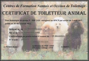 Certificat Toiletteur Animal 001