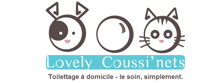 Lovely Coussi'nets